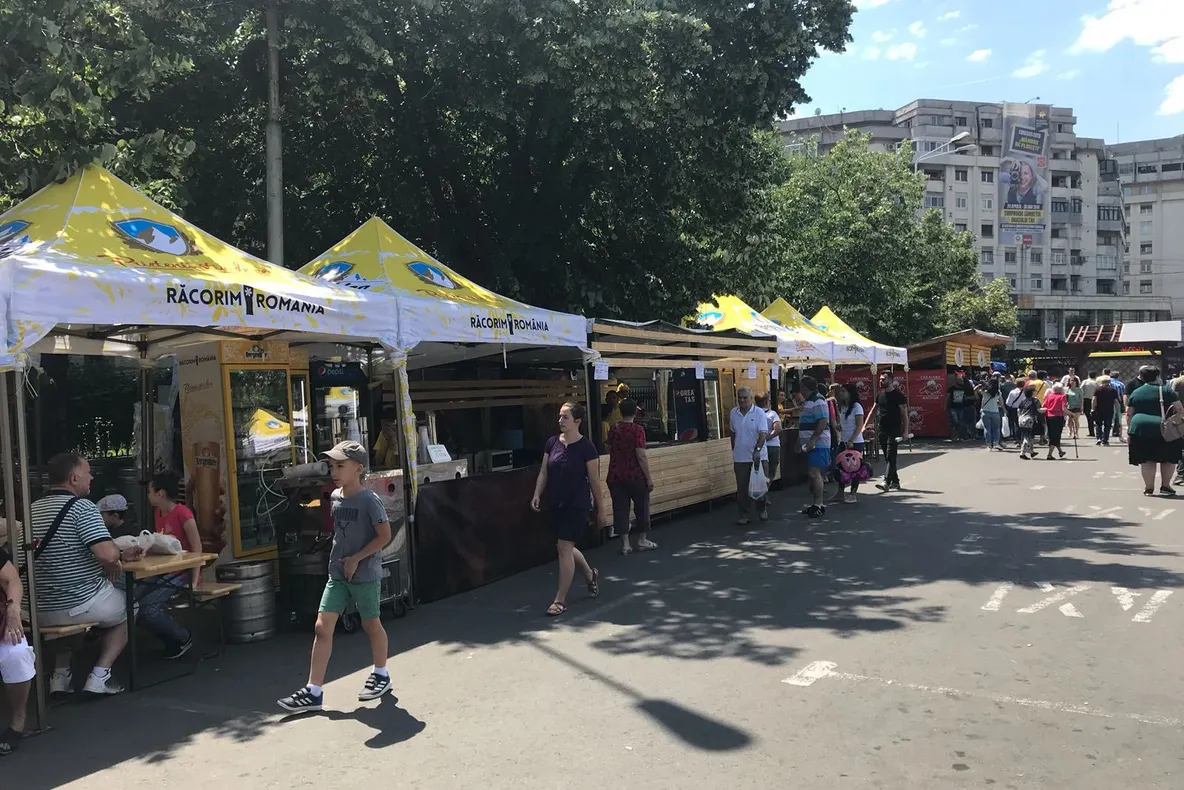 Ciobani și sute de oi, captivi în mijlocul apelor, la Valea Moldovei FOTO