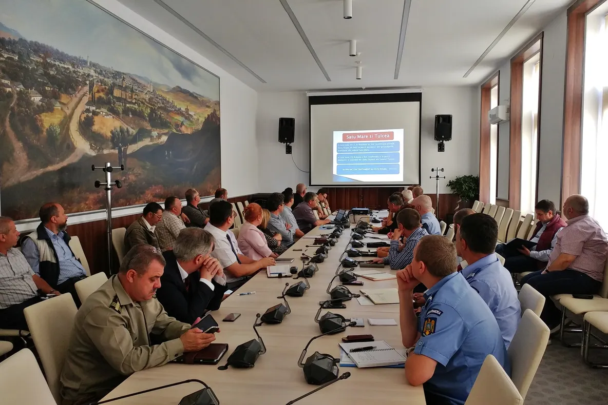 Vânzarea porcilor, interzisă complet în piețele și oboarele din Suceava