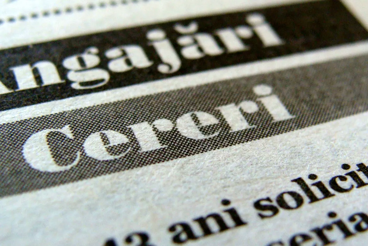 AJOFM Suceava caută 950 de muncitori pentru cules căpșuni în Spania