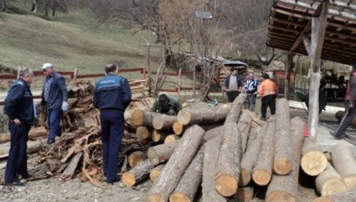 Amenzi în valoare de peste 130.000 lei și material lemnos confiscat