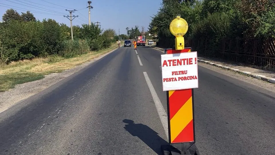 Filtre rutiere la granița Suceava-Botoșani împotriva pestei porcine africane