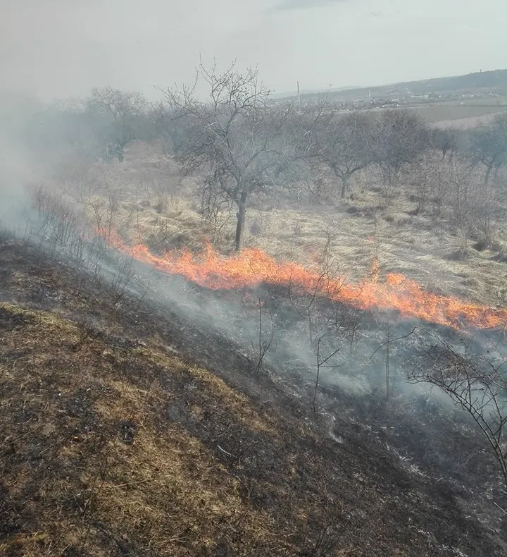 42 de incendii de vegetație uscată în doar șapte zile VIDEO