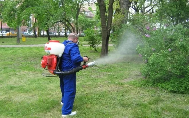 Campanie de distrugere a căpușelor în parcurile și locurile de joacă din municipiul Suceava