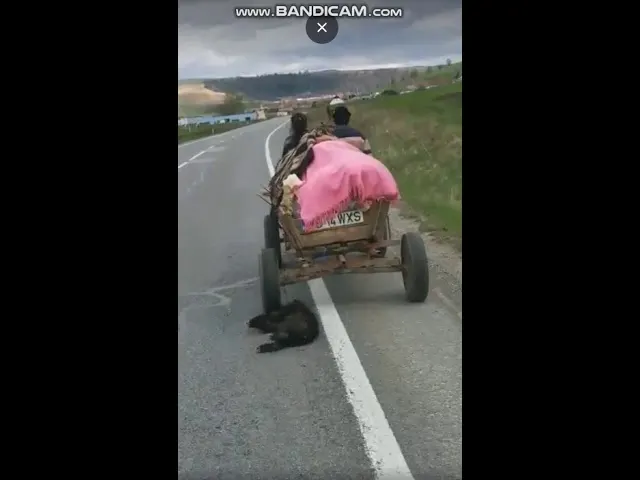 VIDEO Liviu Dragnea a fost ironizat de actori după replica „Nimic ești tu!”