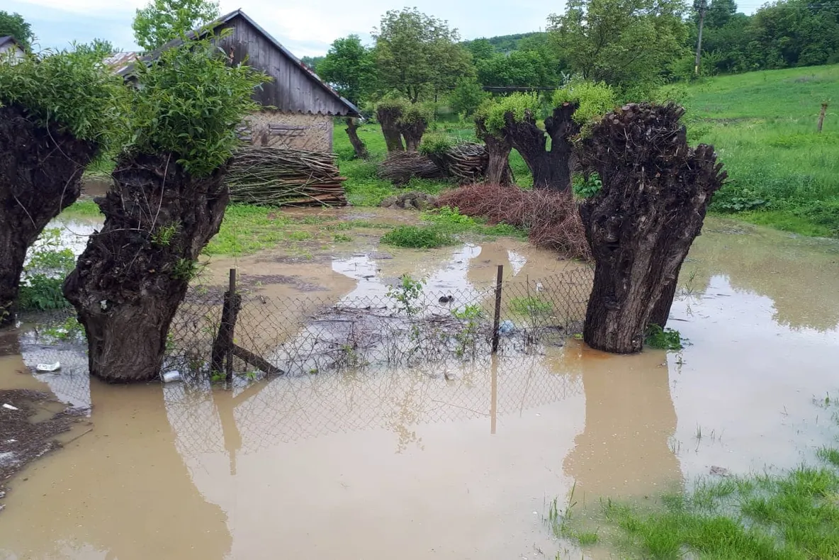 Mai multe curți au fost inundate în Siret și Suceava FOTO