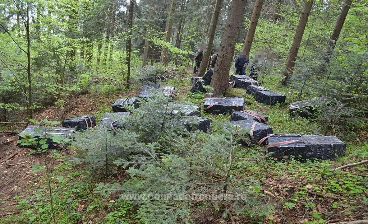 Peste 36.000 pachete cu țigări confiscate la frontiera de nord