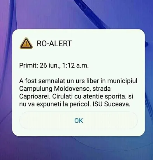 RO-ALERT: “A fost semnalat un urs liber în municipiul Câmpulung Moldovenesc” FOTO