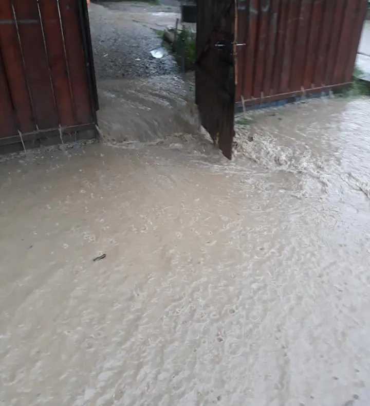 Gospodării inundate la Mironu și Vatra Dornei VIDEO
