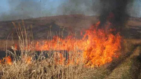 Un bărbat din Berchișești a murit într-un incendiu de vegetație
