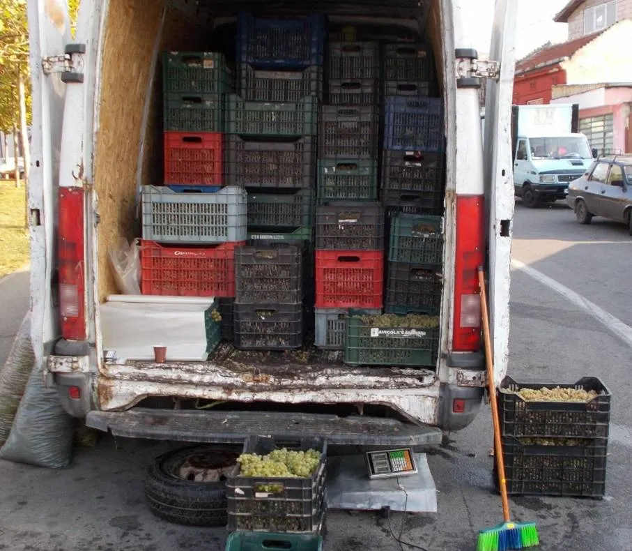 O femeie a căzut de pe o scară în timp ce culegea struguri