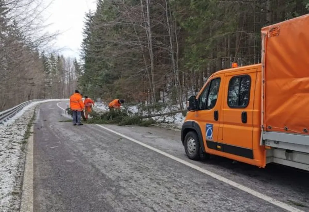 Arbori căzuți pe carosabil pe DN 17 A, în zona Pasului Palma FOTO