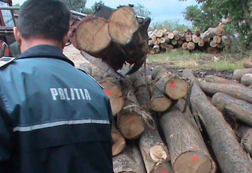 Material lemnos în valoare de 104.000 lei confiscat de polițiști
