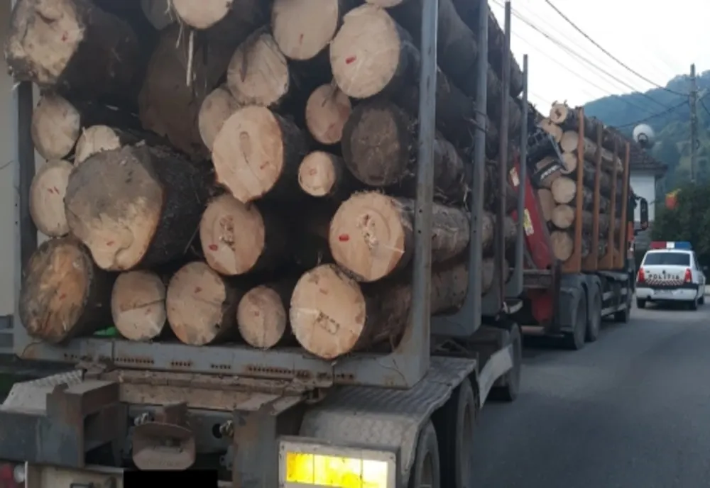 Transporturi ilegale de lemn, depistate în trafic de polițiști