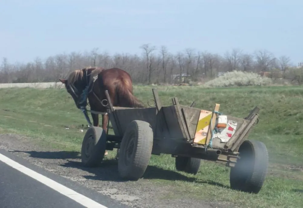 Un căruțaș neatent a ajuns la spital după ce a fost acroșat de o mașină