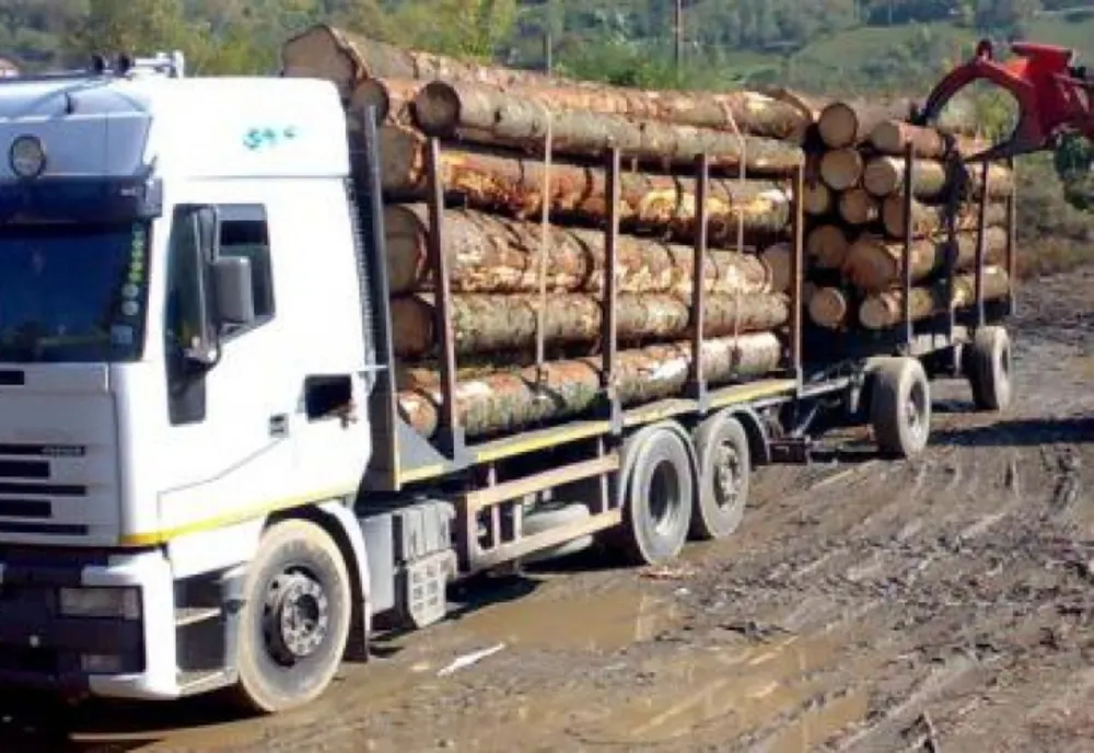  TIR în valoare de 50.000 de euro, folosit la transportul ilegal de lemne, confiscat de polițiștii suceveni