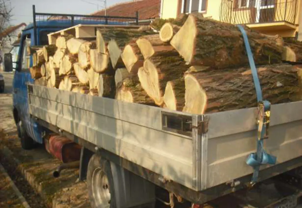 Peste 10 metri cubi material lemnos confiscați de polițiști în urma unor controale în trafic