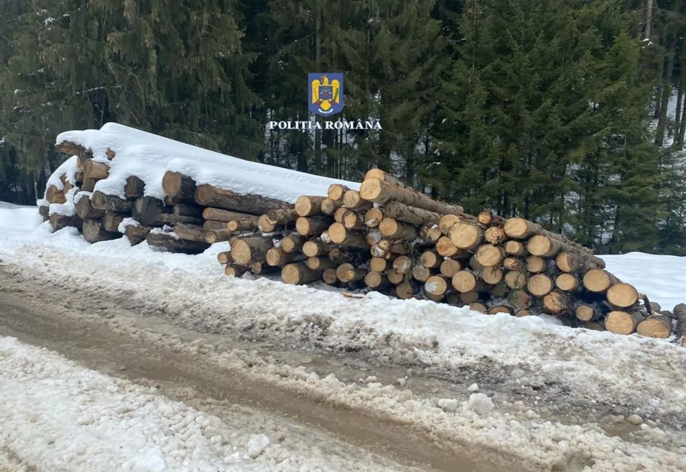 Material lemnos confiscat și sancțiuni aplicate pentru acte ilicite în domeniul silvic în zona Vatra Dornei și Câmpulung Moldovenesc 