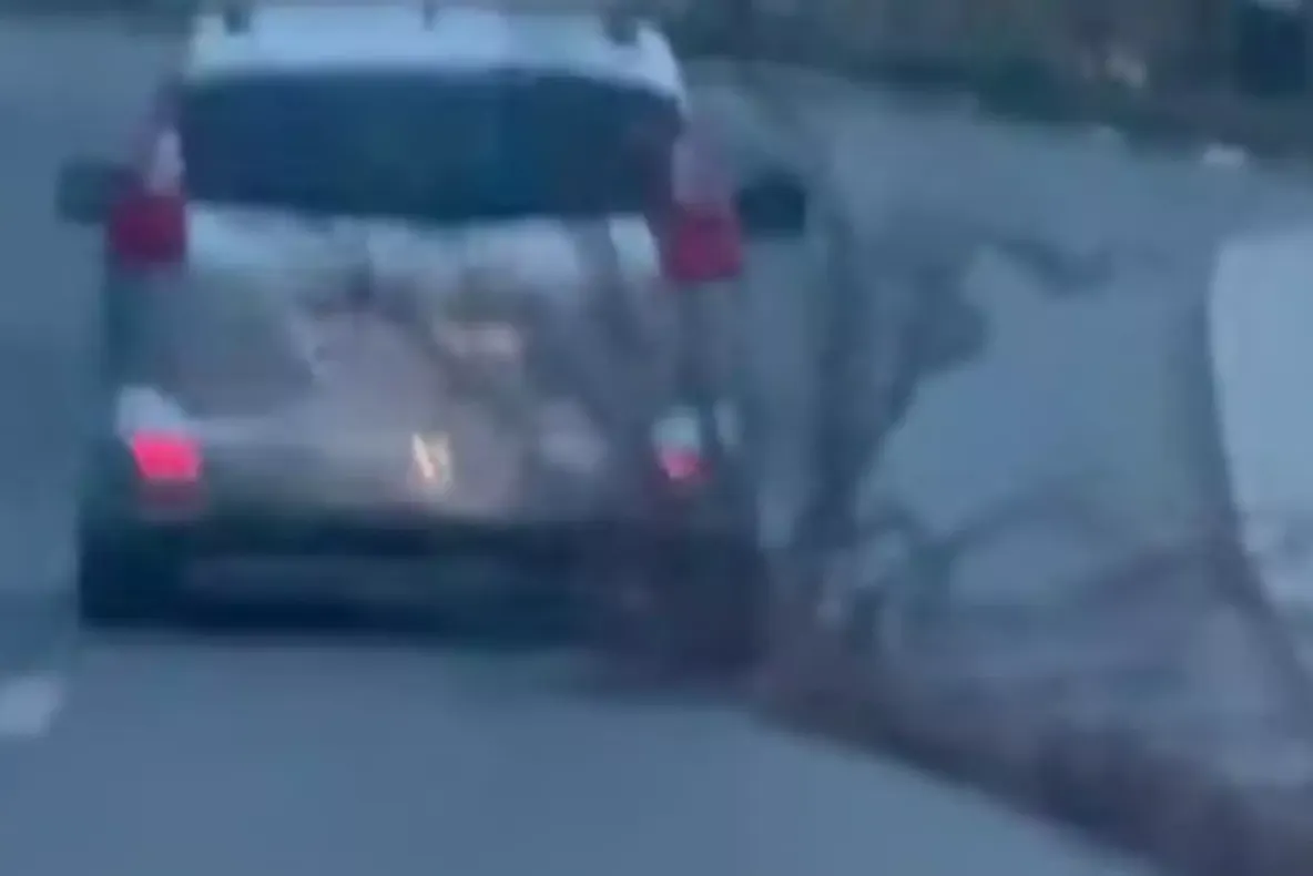 Incident șocant în Bistrița: un autoturism a târât pe șosea un trunchi de copac de 16 metri. Primarul Gabriel Lazany: „Un pericol uriaș pentru oameni”