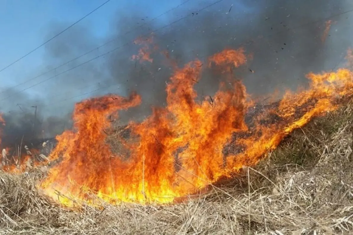 Incendiu în pădurea Marginea: peste 100 de oameni luptă cu flăcările din 9 octombrie