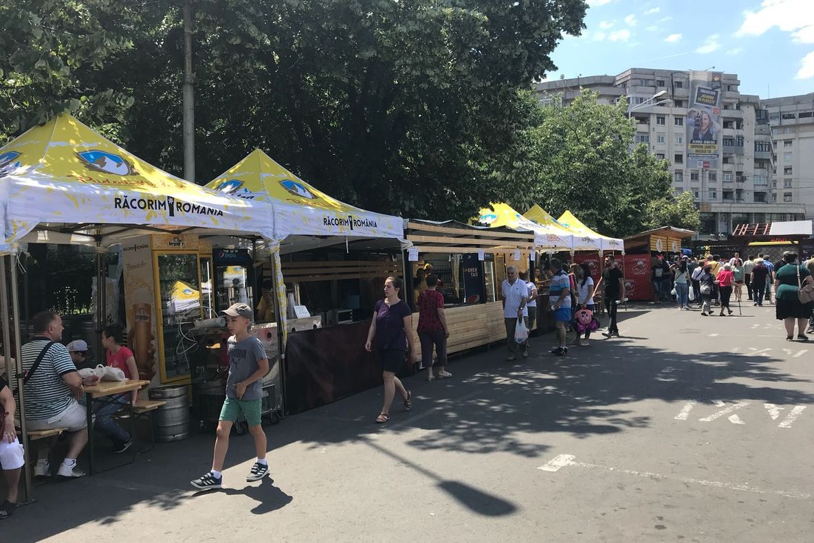 Ciobani și sute de oi, captivi în mijlocul apelor, la Valea Moldovei FOTO