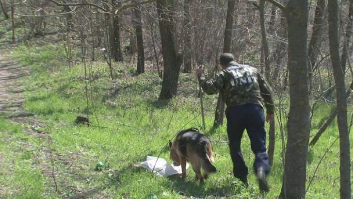 Bătrână de 82 de ani, căutată de zeci de persoane după ce a dispărut de pe imașul din fața locuinței