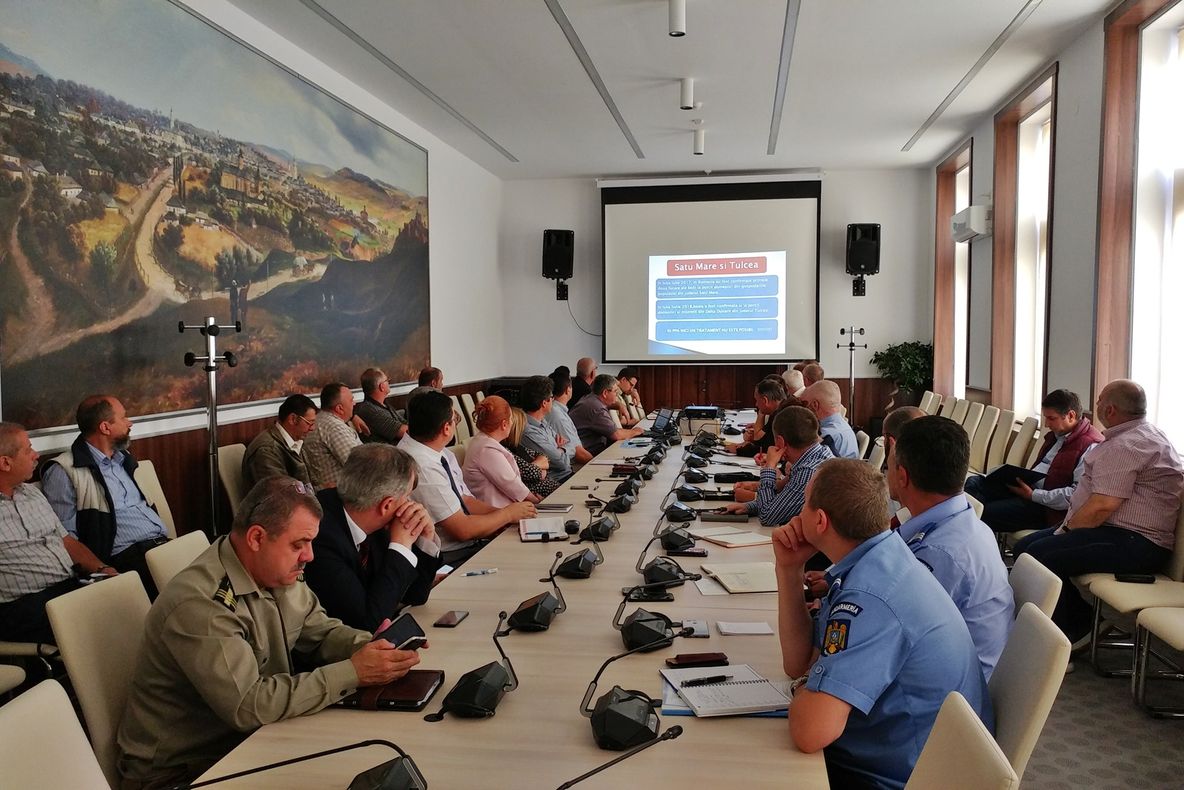 Vânzarea porcilor, interzisă complet în piețele și oboarele din Suceava