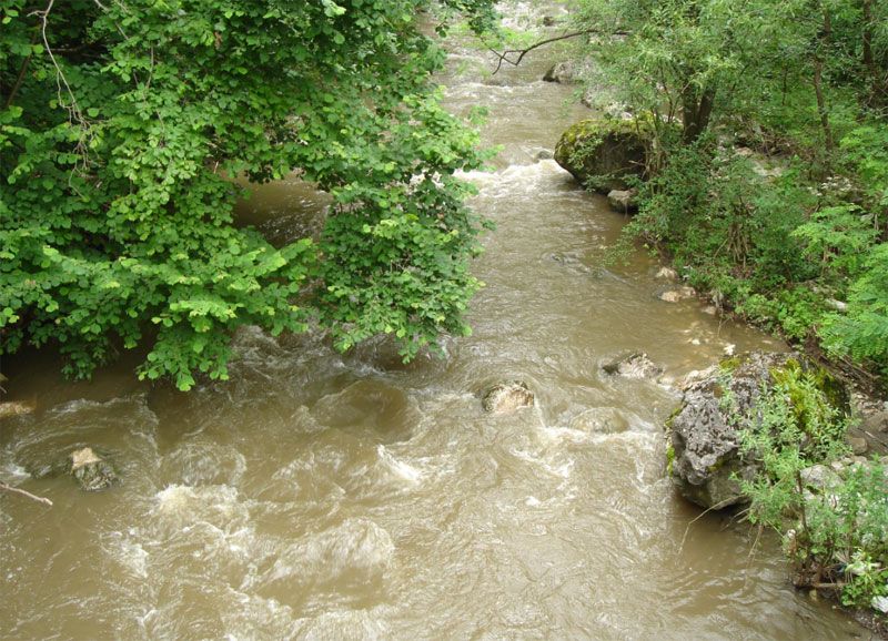 O femeie a murit după ce a căzut de pe o punte pietonală într-un pârâu. A fost găsită la 12 km în aval de locul accidentului