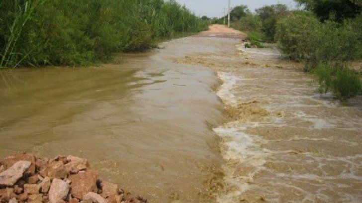 O societate de prelucrare a lemnului a fost inundată, după ce un dig a fost rupt de ape, la Bogdănești