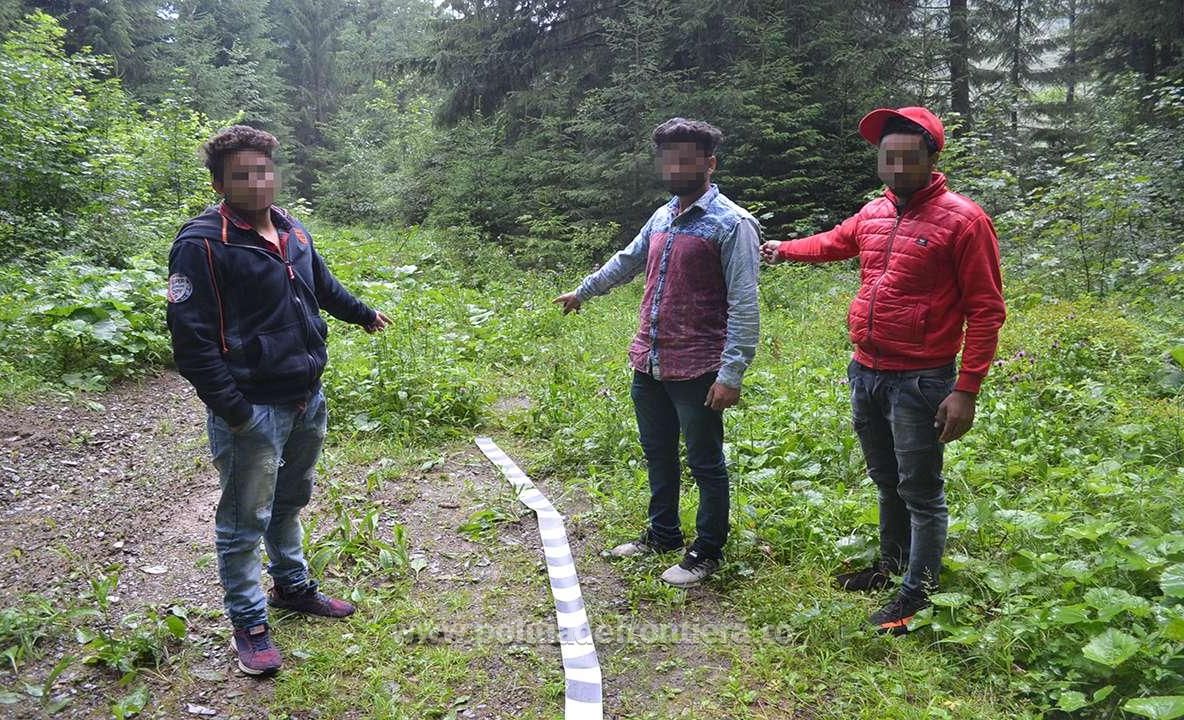 Cetățeni din Guineea și Coasta de Fildeș prinși la Falcău după ce au trecut ilegal granița