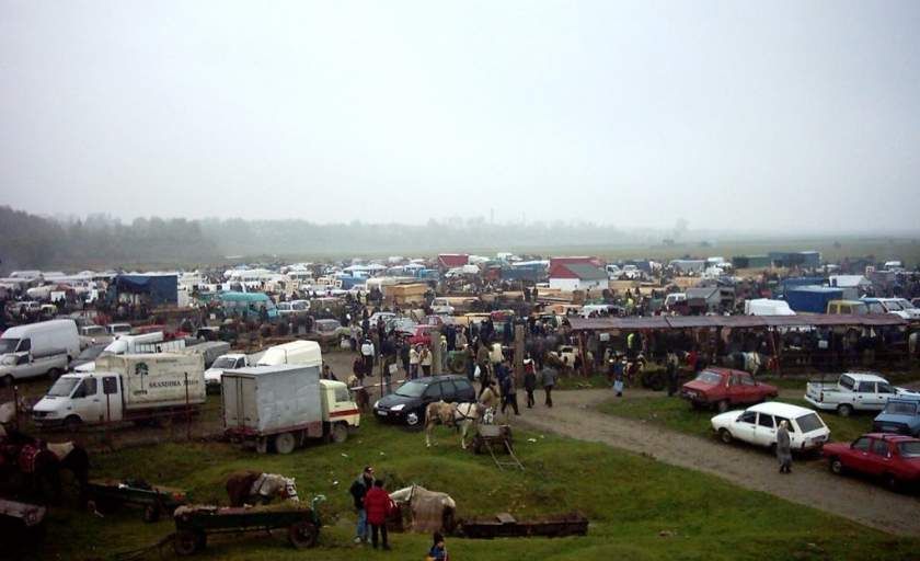 Toate târgurile de animale au fost închise de frica pestei porcine africane