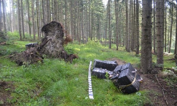 Țigări de  aproape 60.000 lei, abandonate în pădure la Ulma