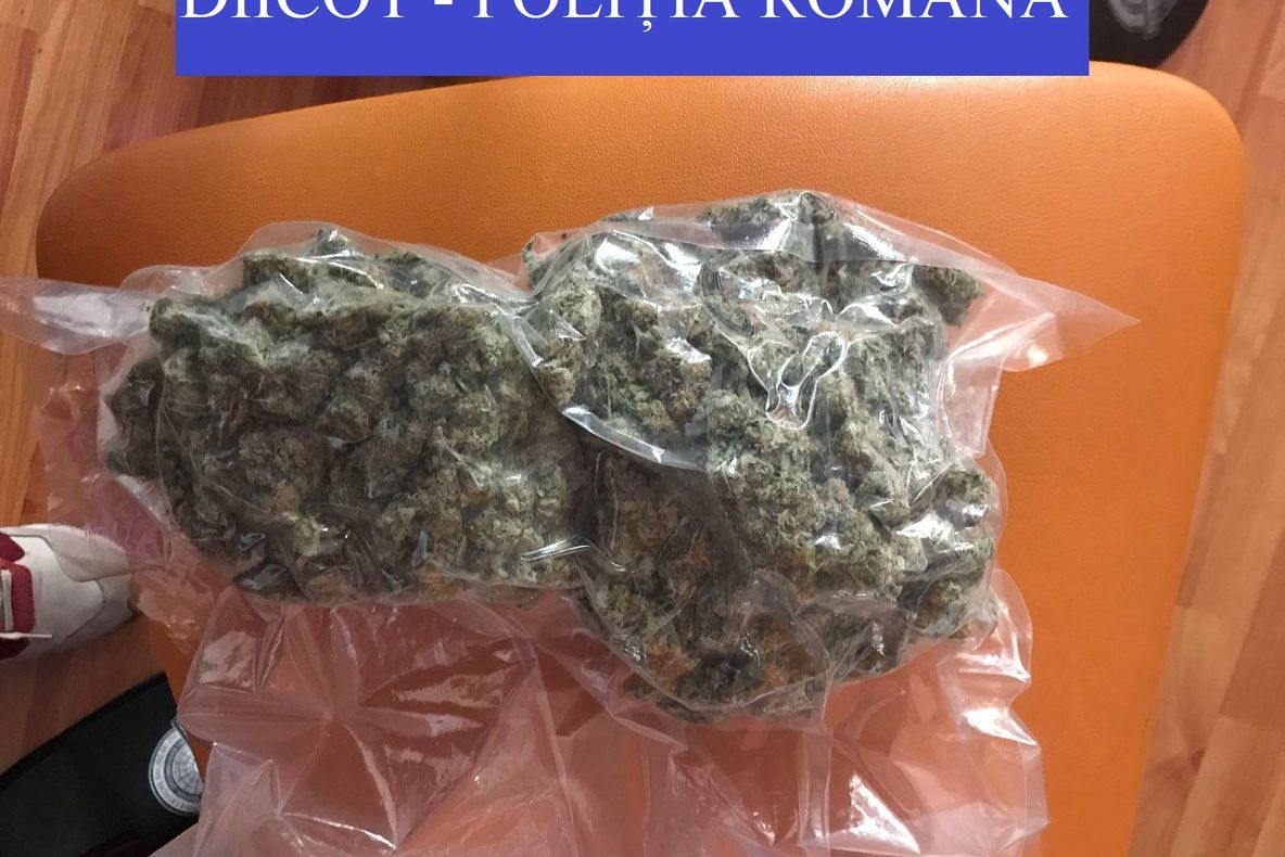 FOTO. Doi suceveni cercetați pentru trafic și consum de droguri de risc și mare risc