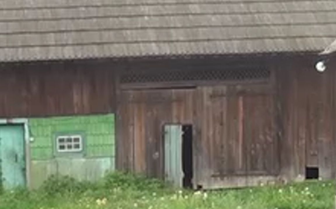 Bărbatul care și-a ucis prietenul și i-a ascuns cadavrul în beci, trimis în judecată FOTO