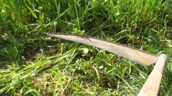 Tragedie la Panaci. Un tânăr a murit după ce a căzut într-o coasă