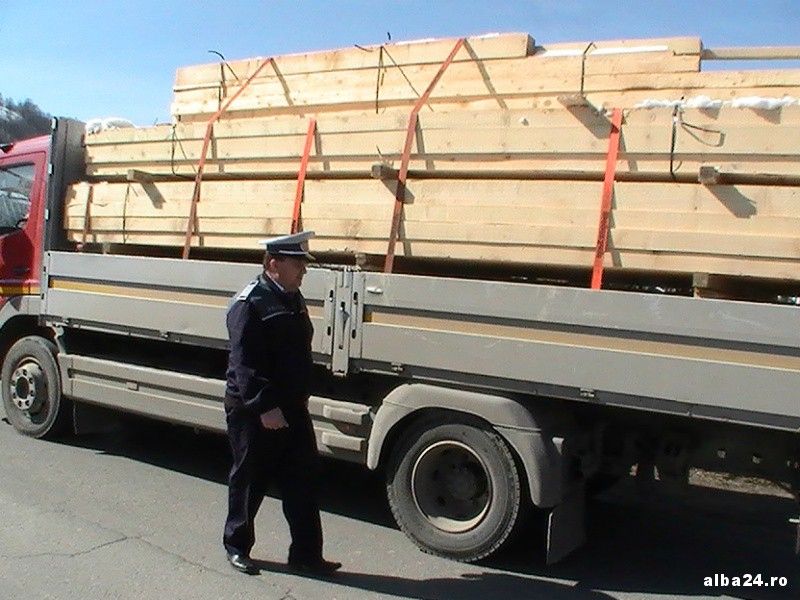 Amendă în valoare de 2.000 de lei pentru transport ilegal de lemne