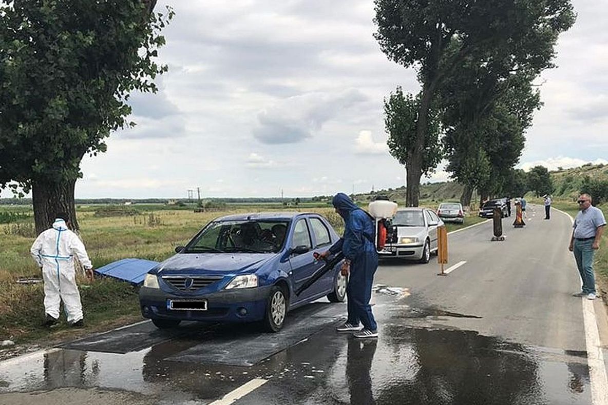 Autoritățile sucevene sunt în alertă din cauza pestei porcine. În Vama Siret au fost instituite dezinfectoare