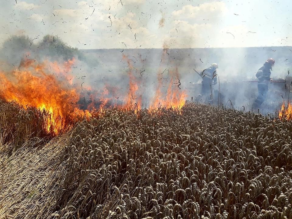 Ratoș. Cinci hectare de grâu au fost distruse de un incendiu FOTO