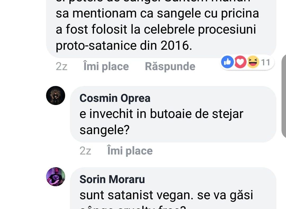 Val de ironii după ce s-a cerut interzicerea Bucovina Rock Castle pentru satanism