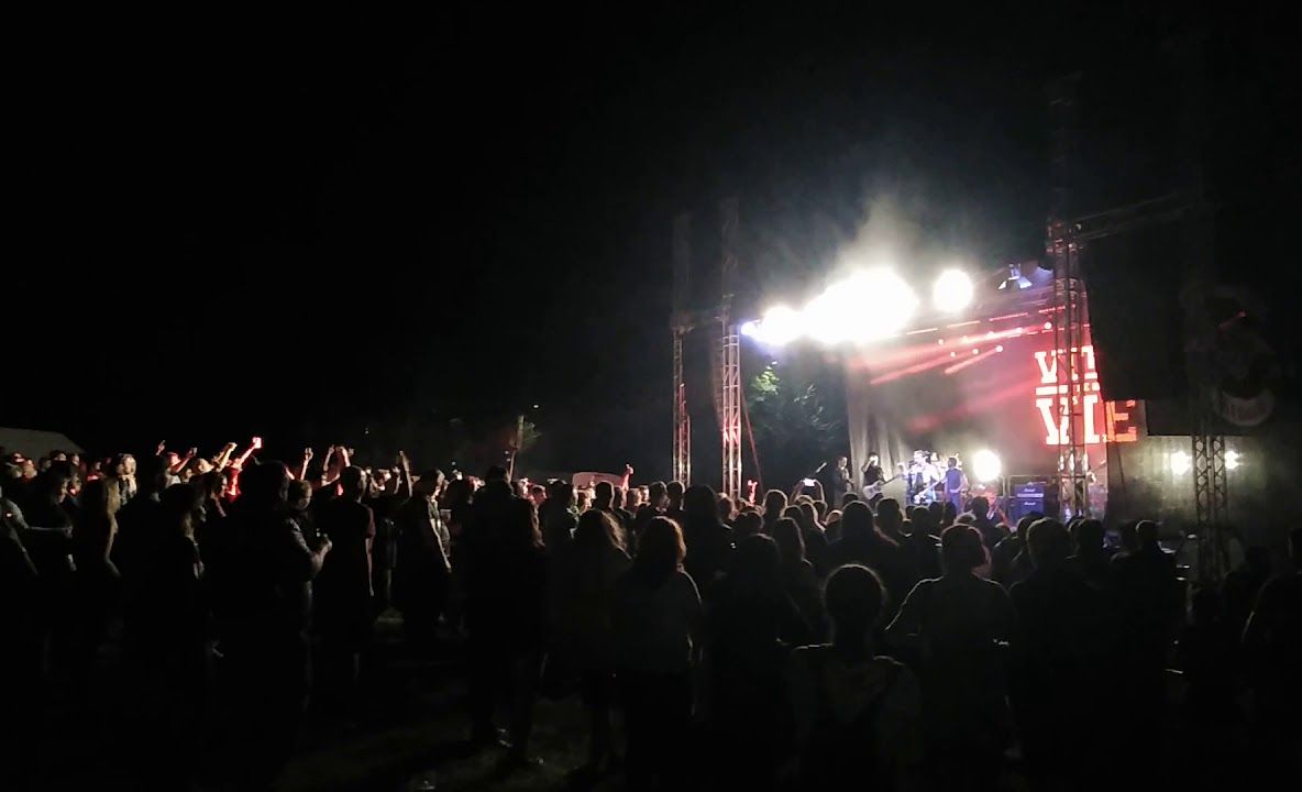 VIDEO Adi Despot, fanilor care scandau M**e PSD: „E o chestie periculoasă”