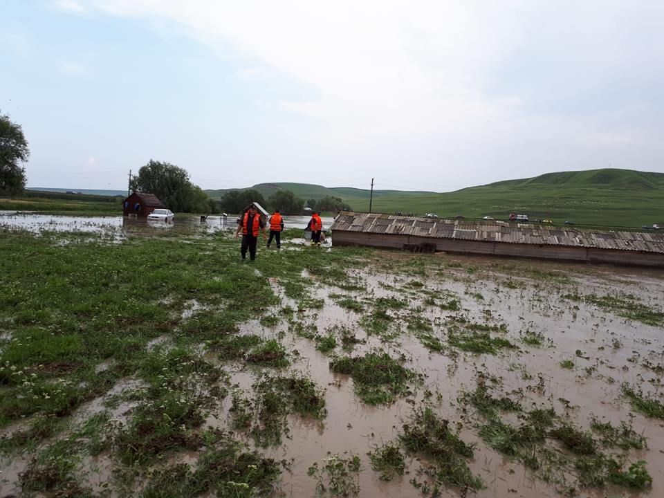 FOTO Un cioban și animalele sale au rămas captivi în mijlocul apelor, la Vornicenii Mari
