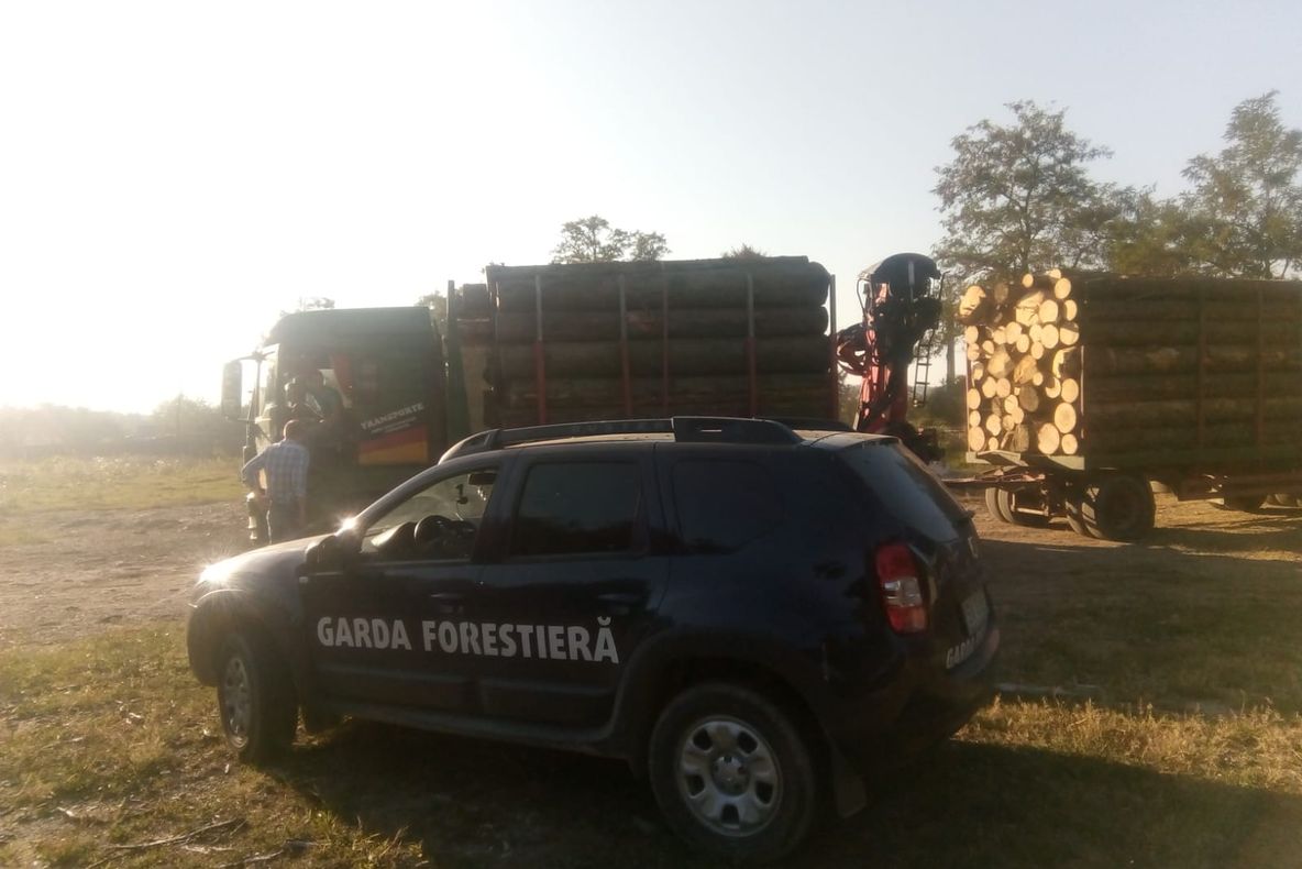 FOTO. Amenzi și confiscări de material lemnos, în urma unor controale ale Gărzii Forestiere Suceava