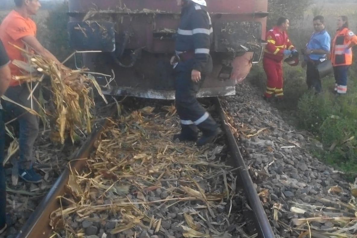 Opt ani de închisoare pentru femeia care a sărit cu copilul în brațe în fața trenului