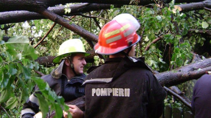 DN 17, între Vatra Dornei și Iacobeni,  blocat din cauza unor copaci căzuți