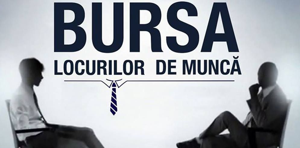 Aproape 1300 de suceveni au participat la Bursa locurilor de muncă pentru absolvenți