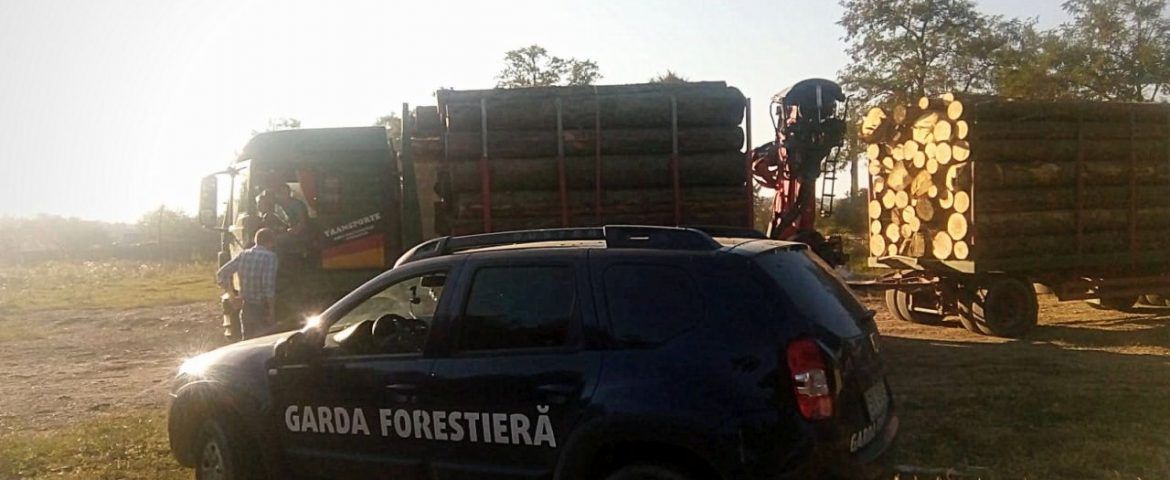 Amenzi în valorea de 186.000 de lei aplicate de Garda Forestieră Suceava în cursul lunii septembrie