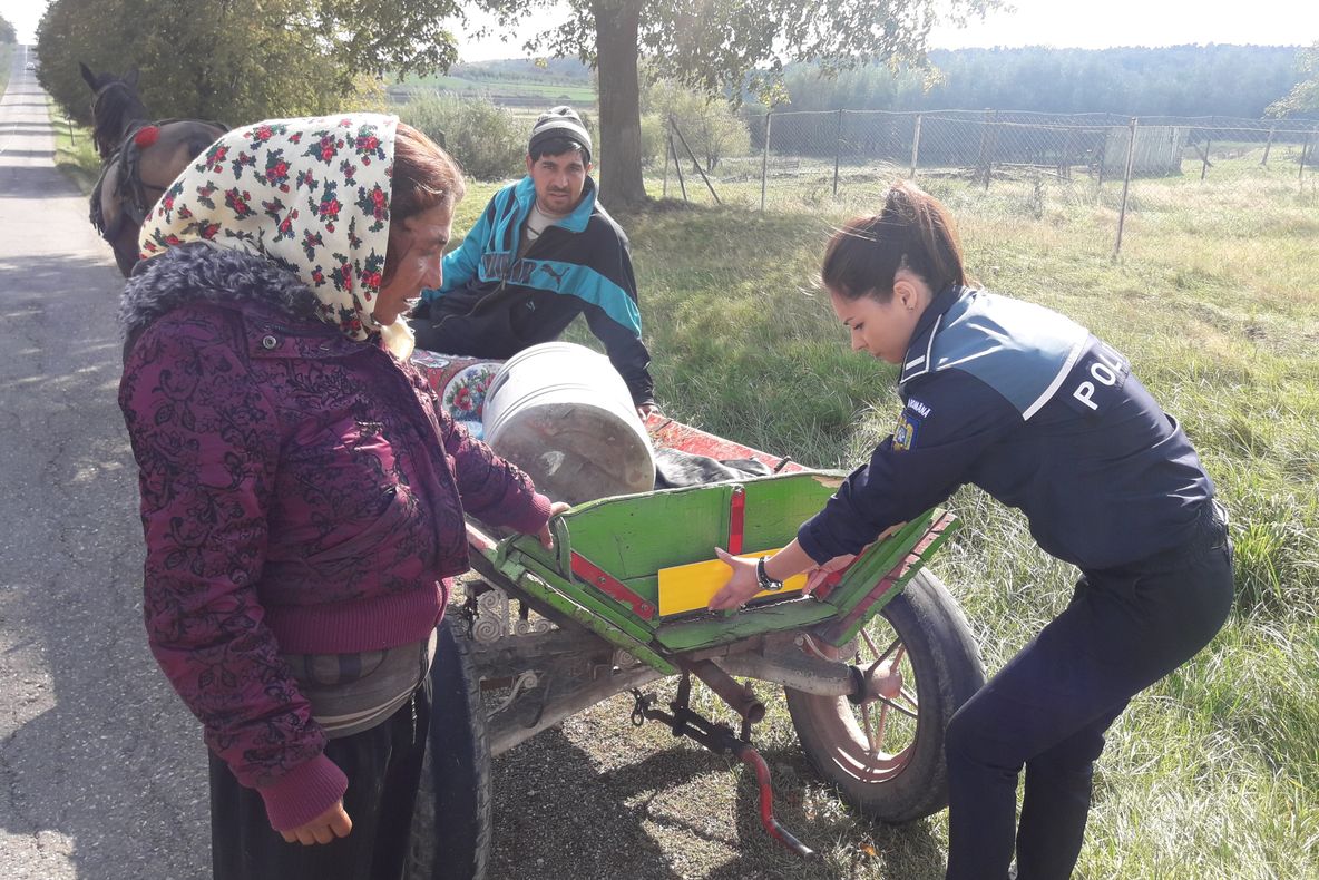 Peste 50 de accidente în care au fost implicate căruțe au avut loc în județ de la începutul anului