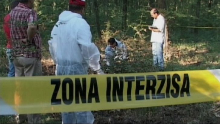 Un bărbat din Vama a murit după ce un copac a căzut peste el