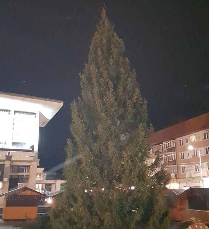 Bradul de Crăciun a fost instalat vineri în centrul Sucevei FOTO