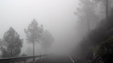 Cod galben de ceață pentru mai multe localități din județul Suceava