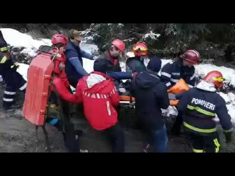 Bărbat prins sub un copac într-o pădure de pe raza localității Ciocănești FOTO VIDEO